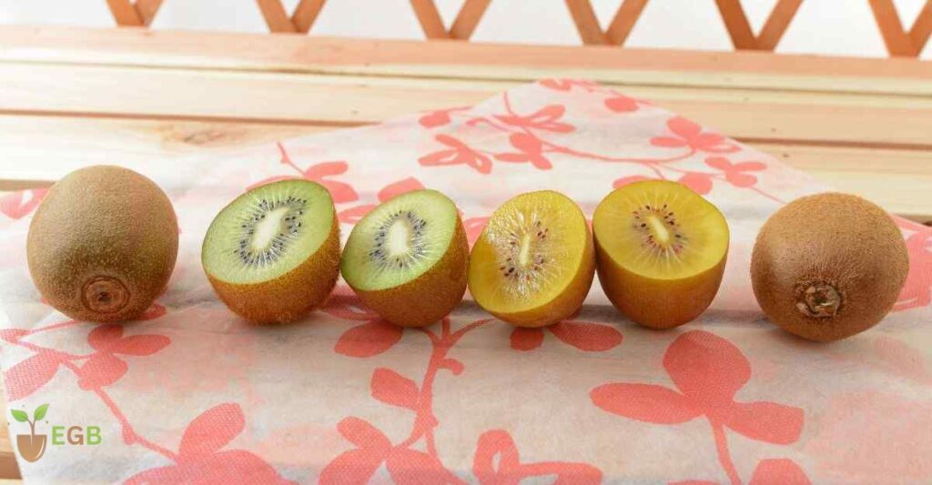 How to eat a kiwi fruit a delicious taste journey