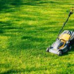 Best Lawnmowers for Gardens: Perfectly Manicured Lawns in 2025