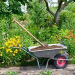 Best Wheelbarrows for Gardening and Landscaping in 2025