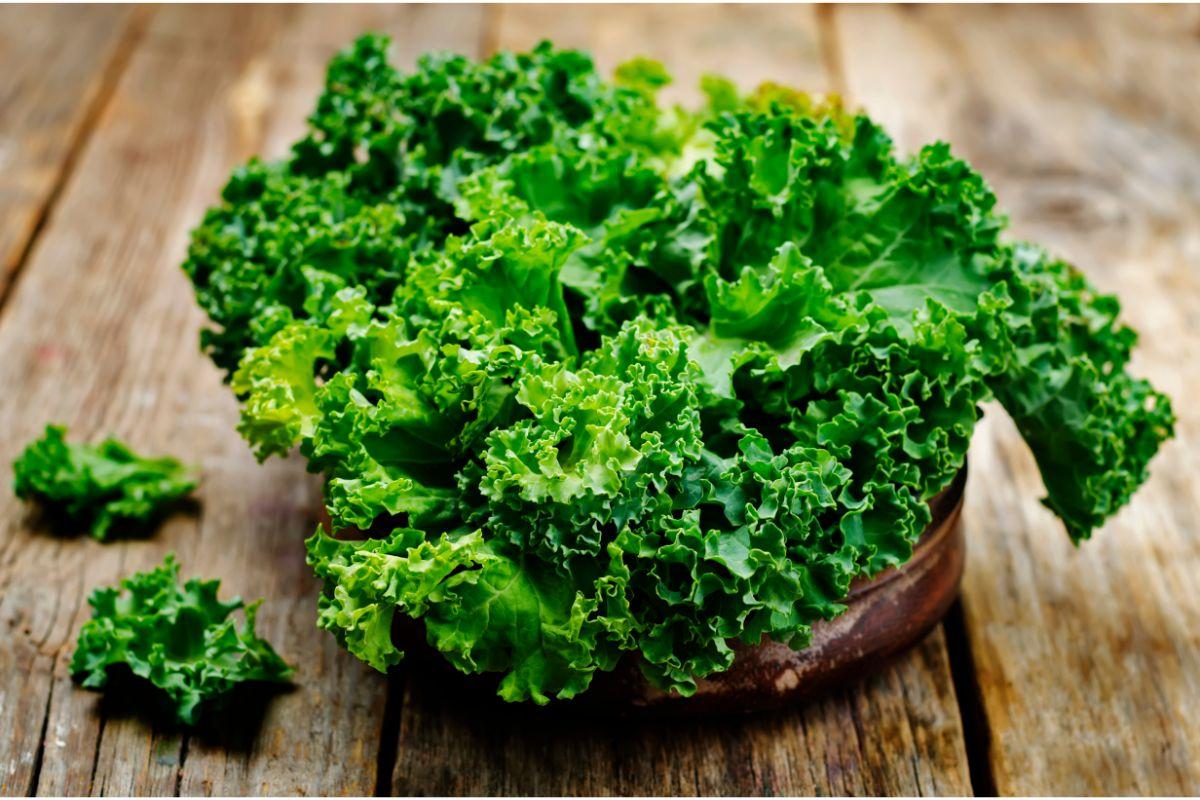 How To Keep Kale Fresh