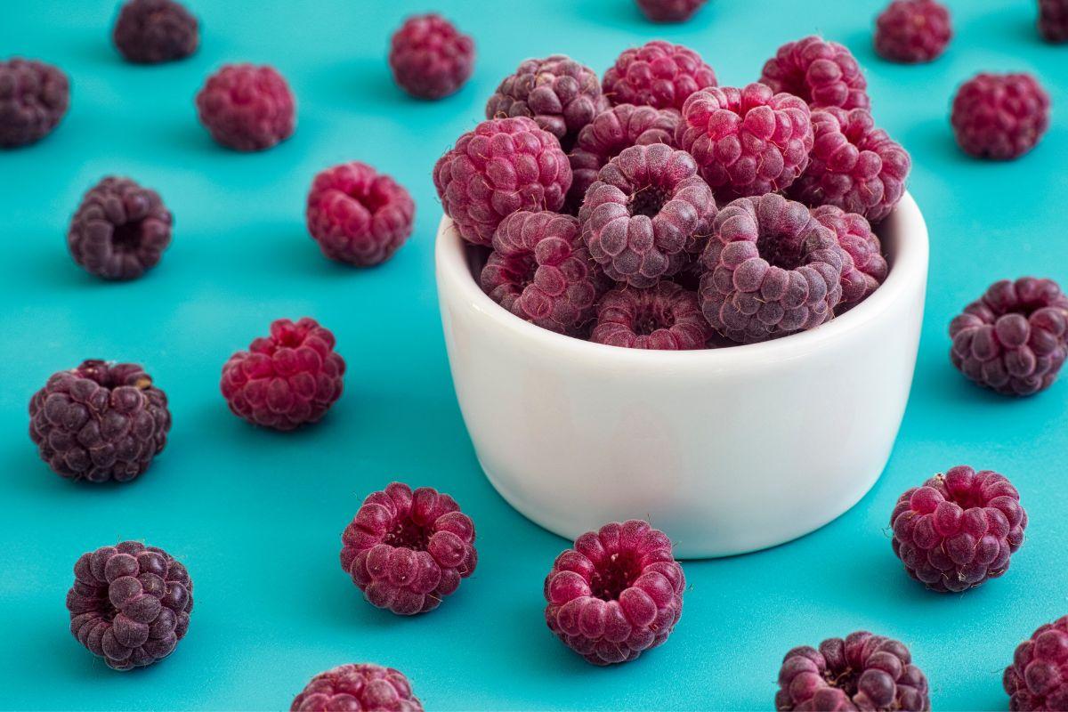 What Color Are Raspberries? Evergreen Blooming