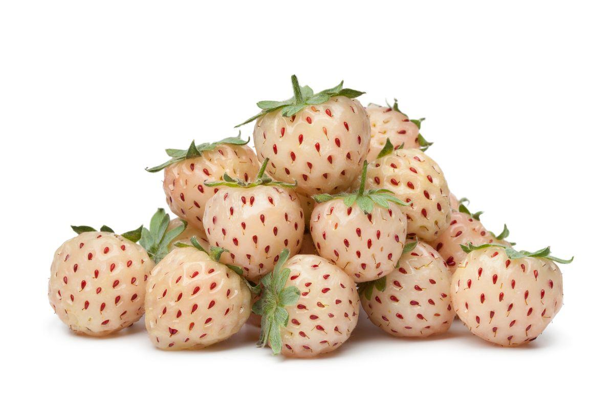 What Do Pineberries Taste Like?