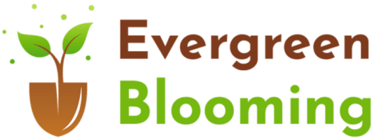 Evergreen Blooming