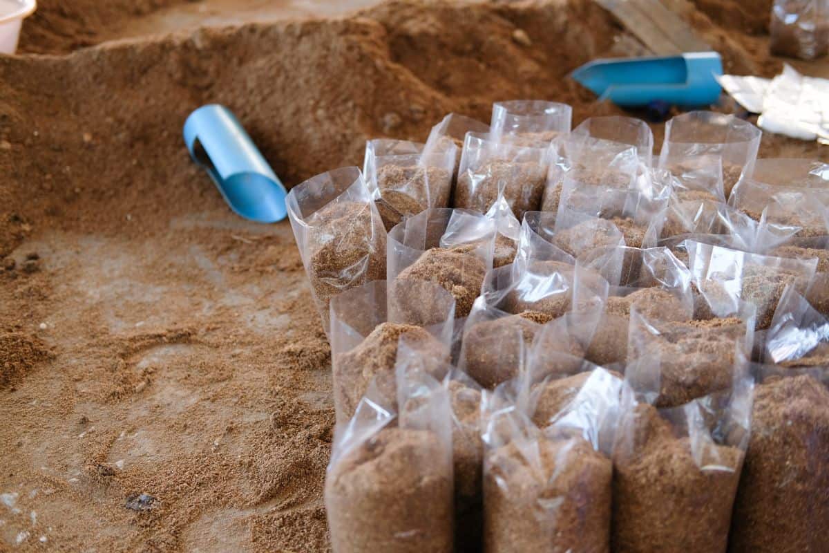 How Mushrooms are Grown - Artificial Substrate for Growing Mushrooms