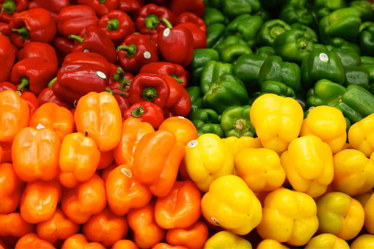 Growing Bell Pepper Plants from Store-Bought Peppers - Delicious!