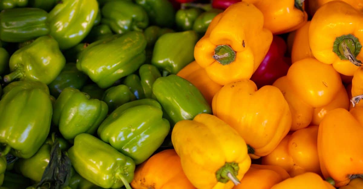 Harvested Green and Yellow Bell Peppers