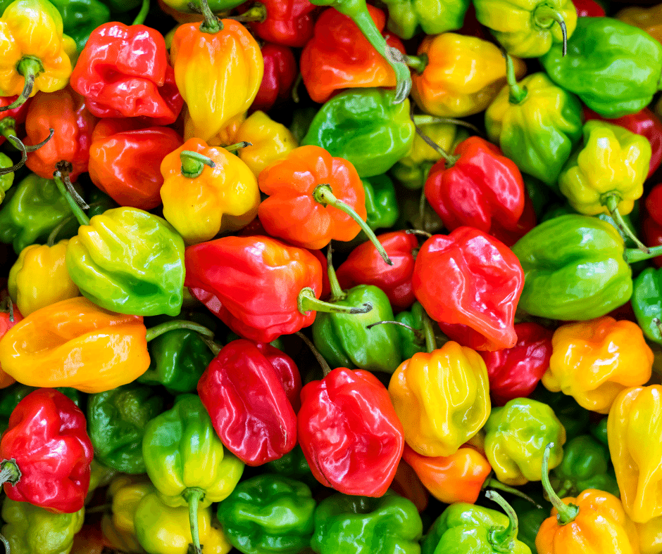 Various types of peppers