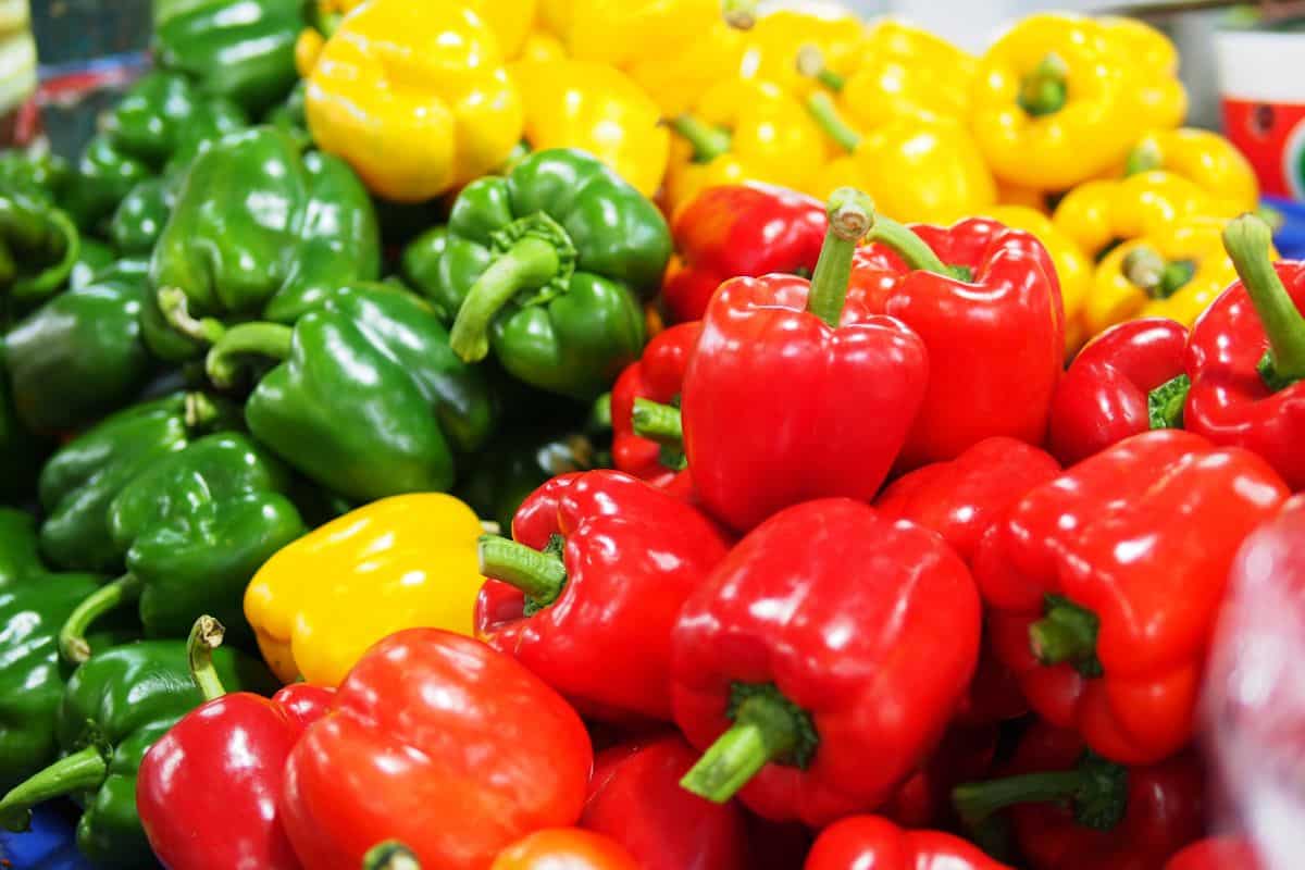 Various Harvested Bell Peppers