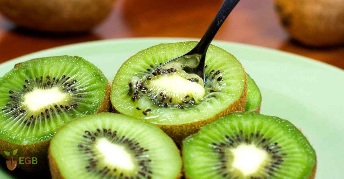 Cut kiwifruit with spoon