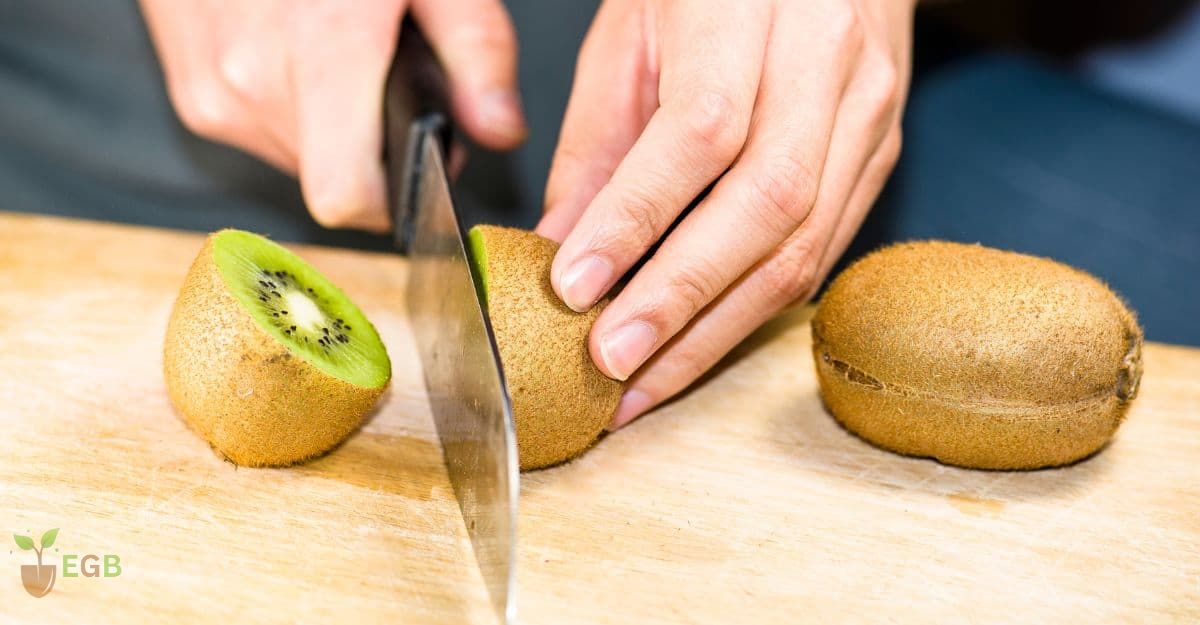 Cutting Kiwi Fruit in Half