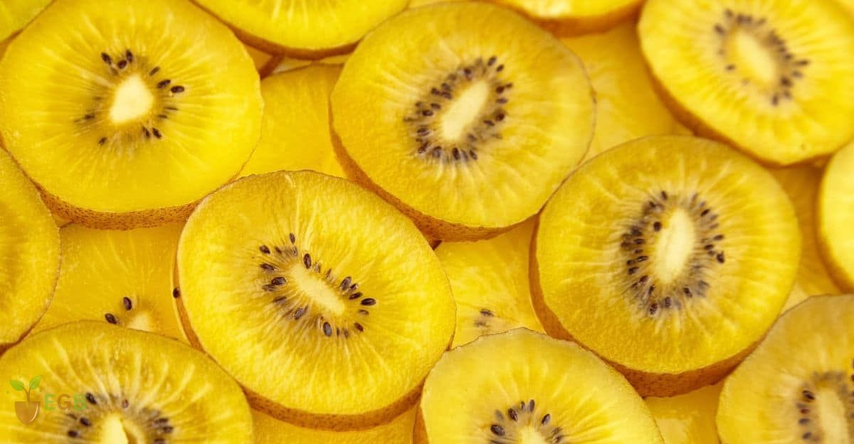 Golden Kiwi Fruit Peeled and Sliced