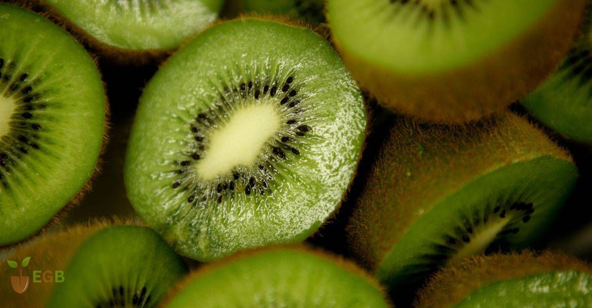 Juicy Ripe Kiwi Fruit