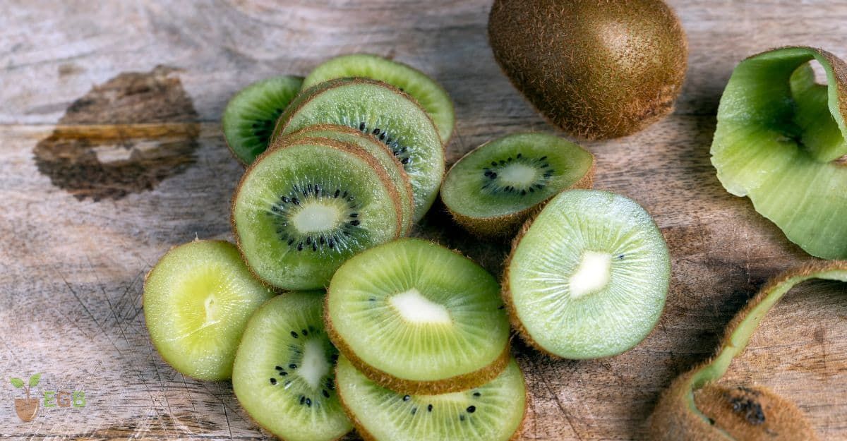 Freshly Prepared Kiwi Fruit