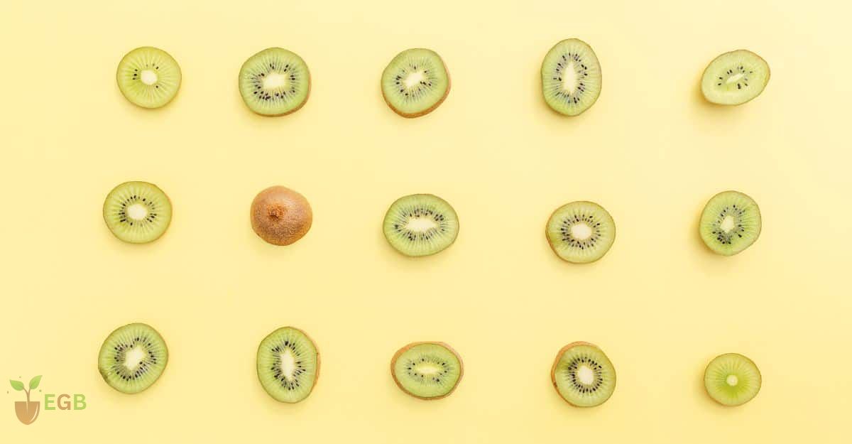 Slices and Cuts of Kiwi Fruits