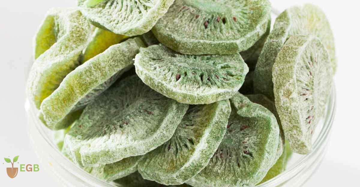 Freeze dried Kiwi Fruit