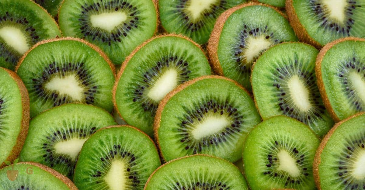 Slices of fresh kiwi fruit