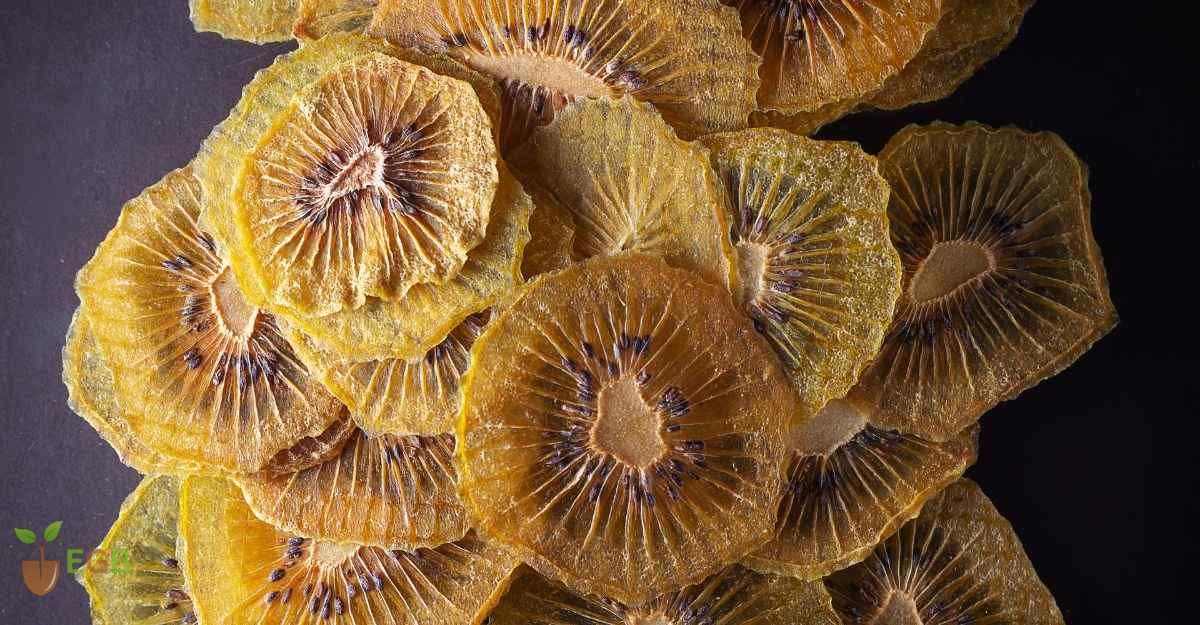 Dried Gold Kiwi