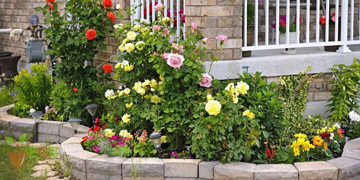 Flowers growing in a raised garden with a self watering planter insert.
