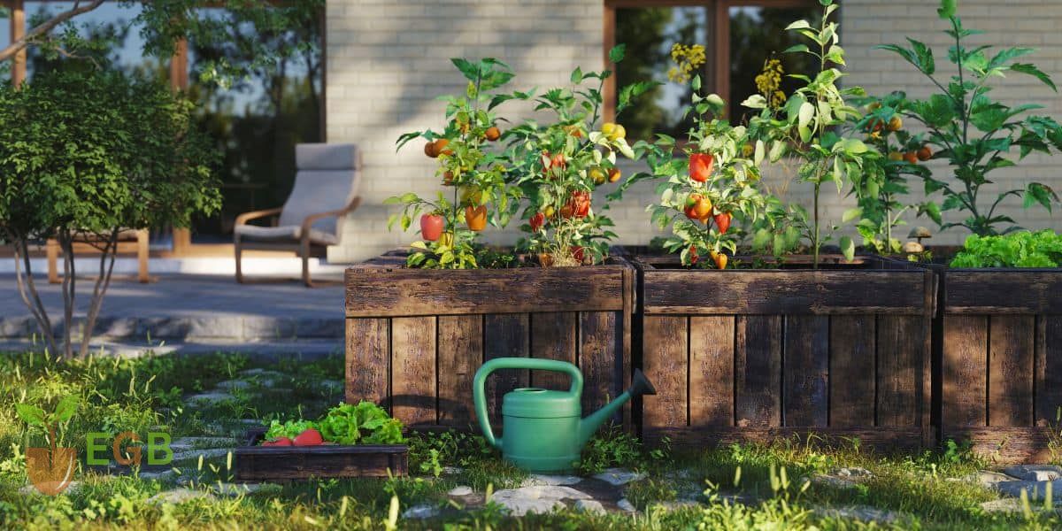 Best Self Watering Raised Garden Beds