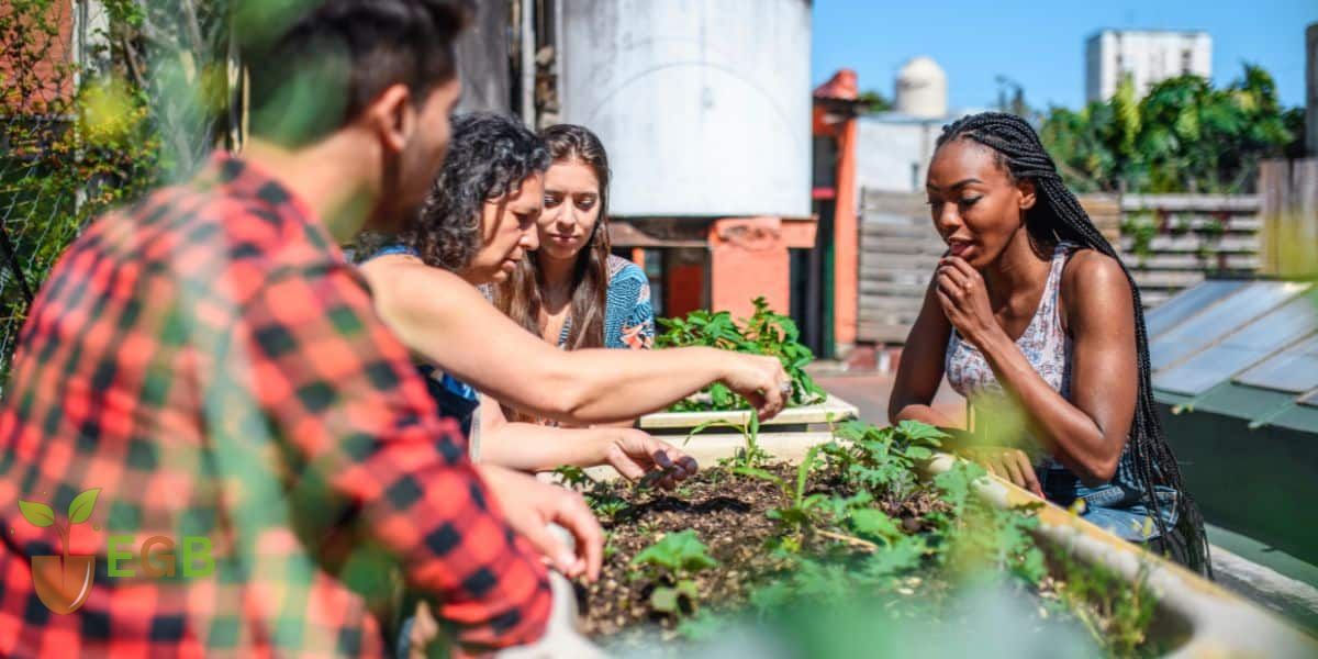Growing vegetables in an apartment raised garden bed