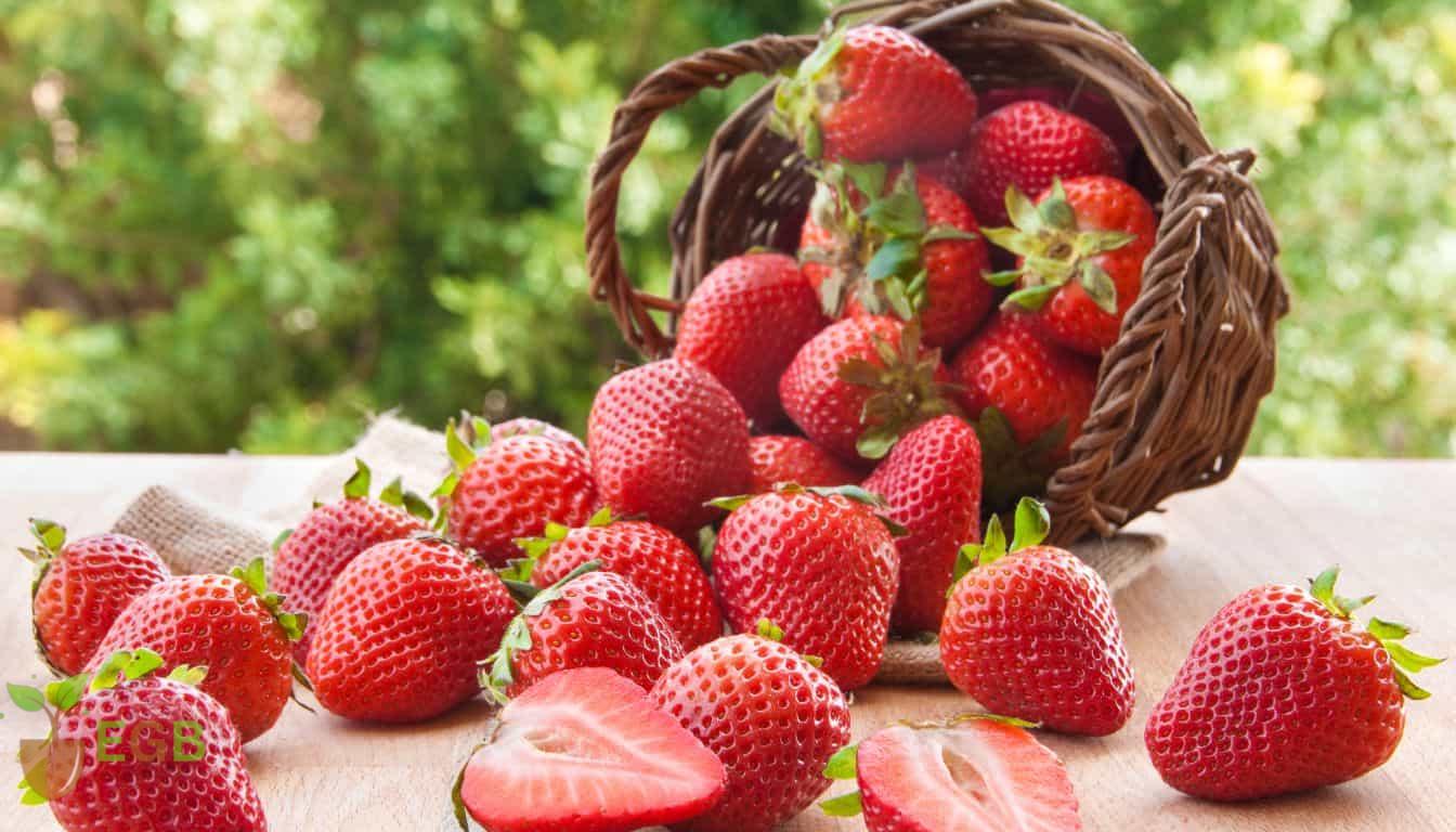The Ultimate Guide to Strawberries: Sustainable Cultivation, Harvesting, and Nutrition Facts