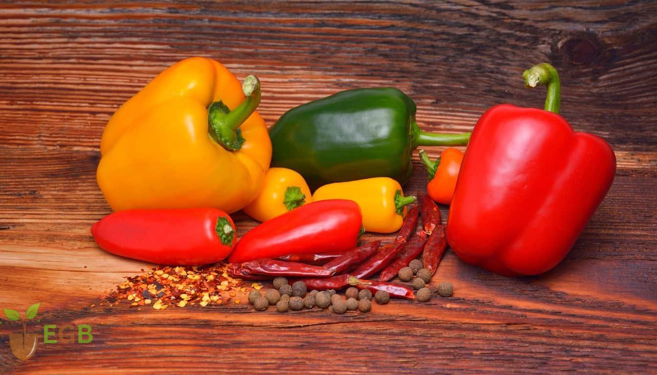 Various, delicious peppers arranged on a cutting board