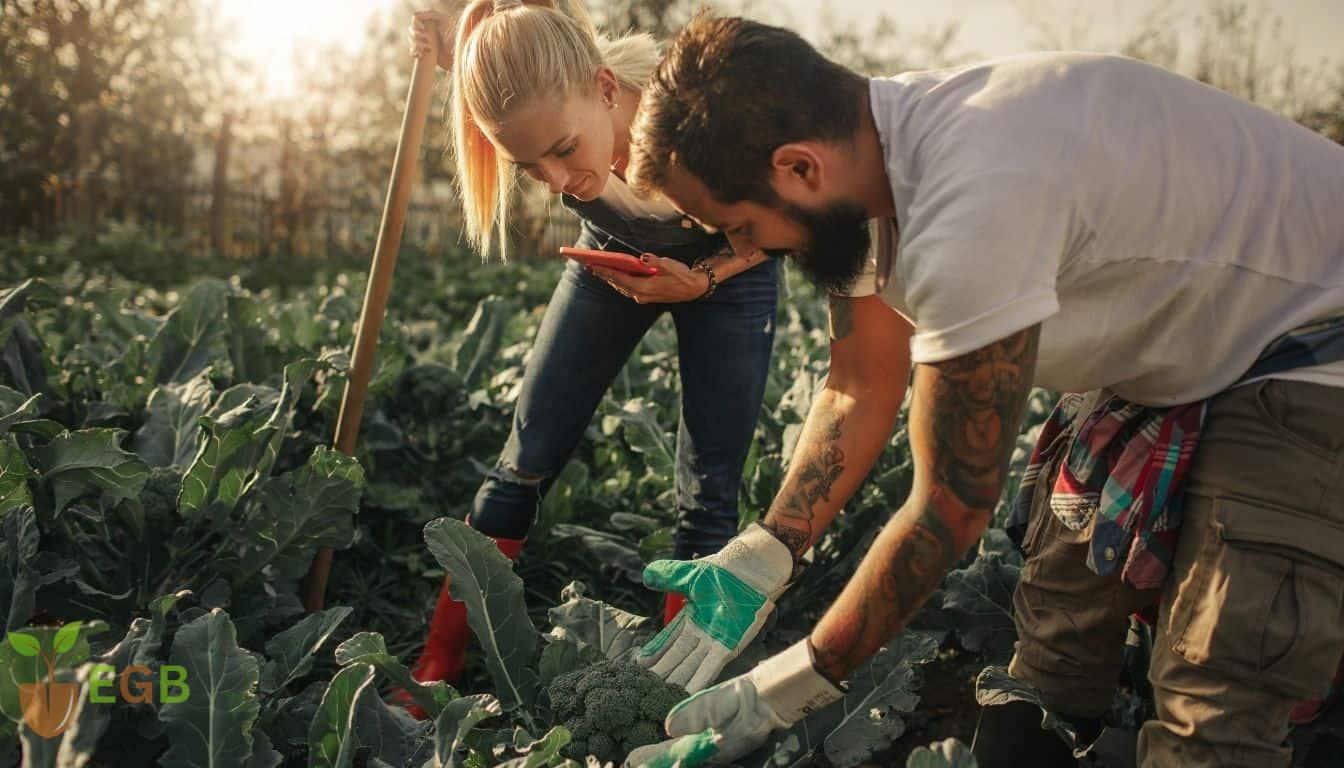 Growing fresh organic crops together