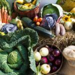 Homestead Gardening: Growing Your Own Sustainable Garden for Food Security