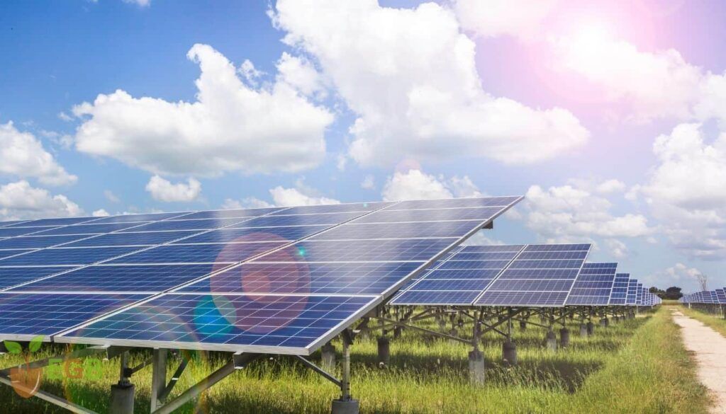 Solar Panels set up to capture sunlight on a farm
