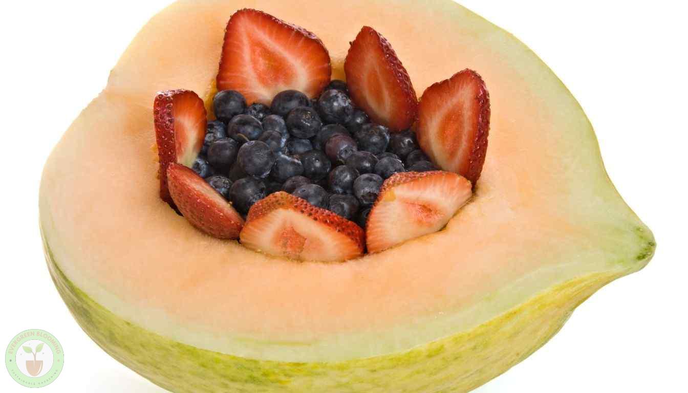 Crenshaw Melon Flavor Profile