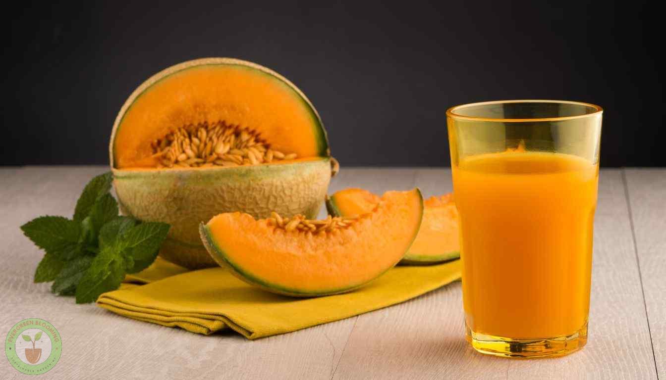 Delicious ripe Honeydew Melon slices and freshly squeezed juice