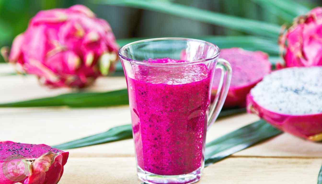 Dragon Fruit Smoothie