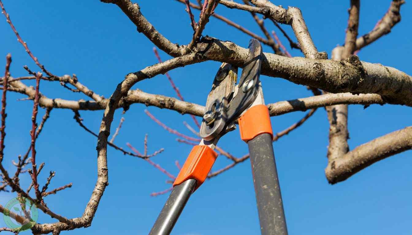Key pruning tips