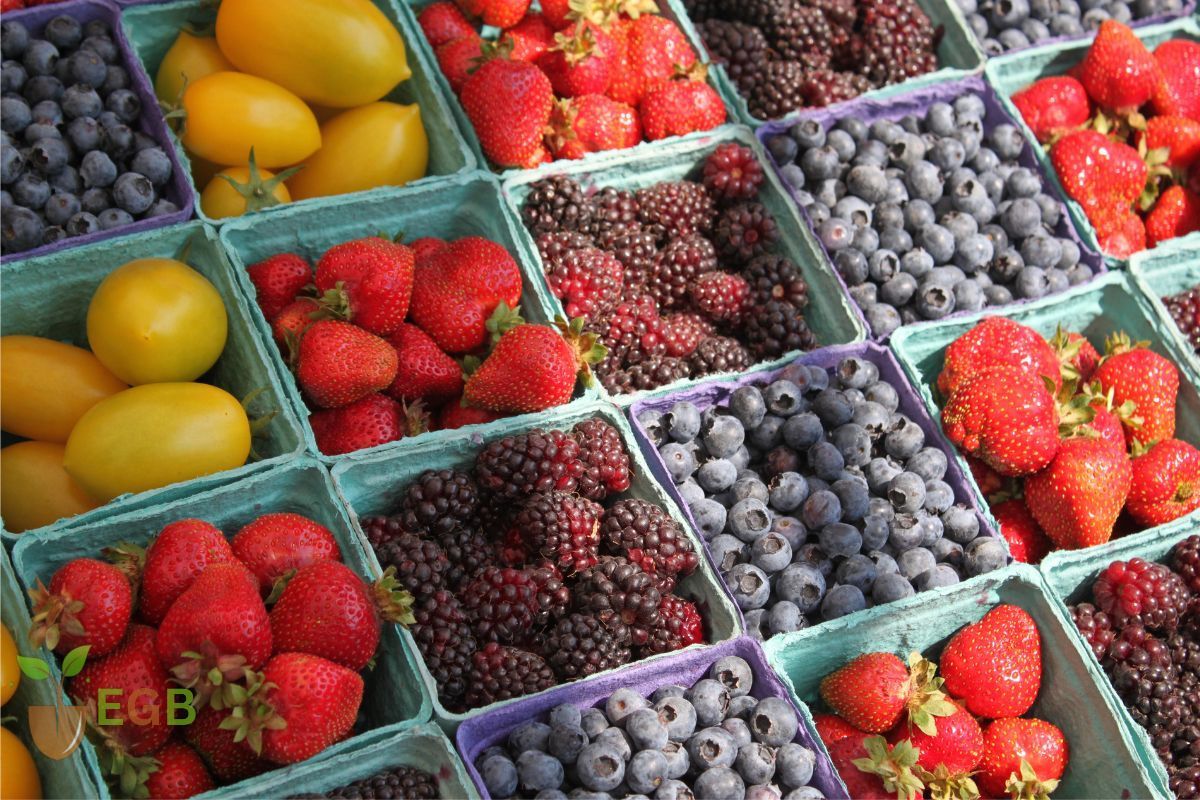 Botanical Berry Classification