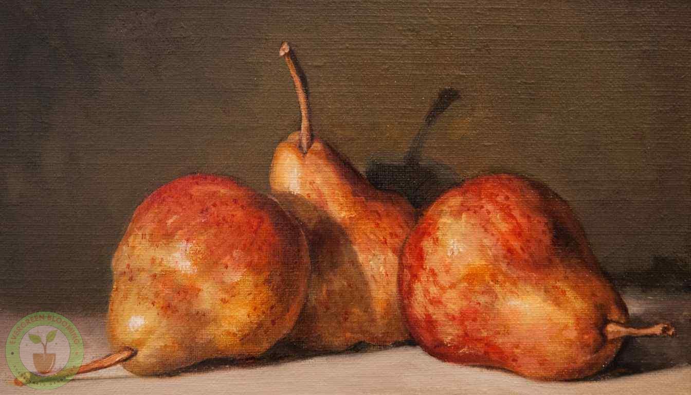 Pear Preparation Techniques