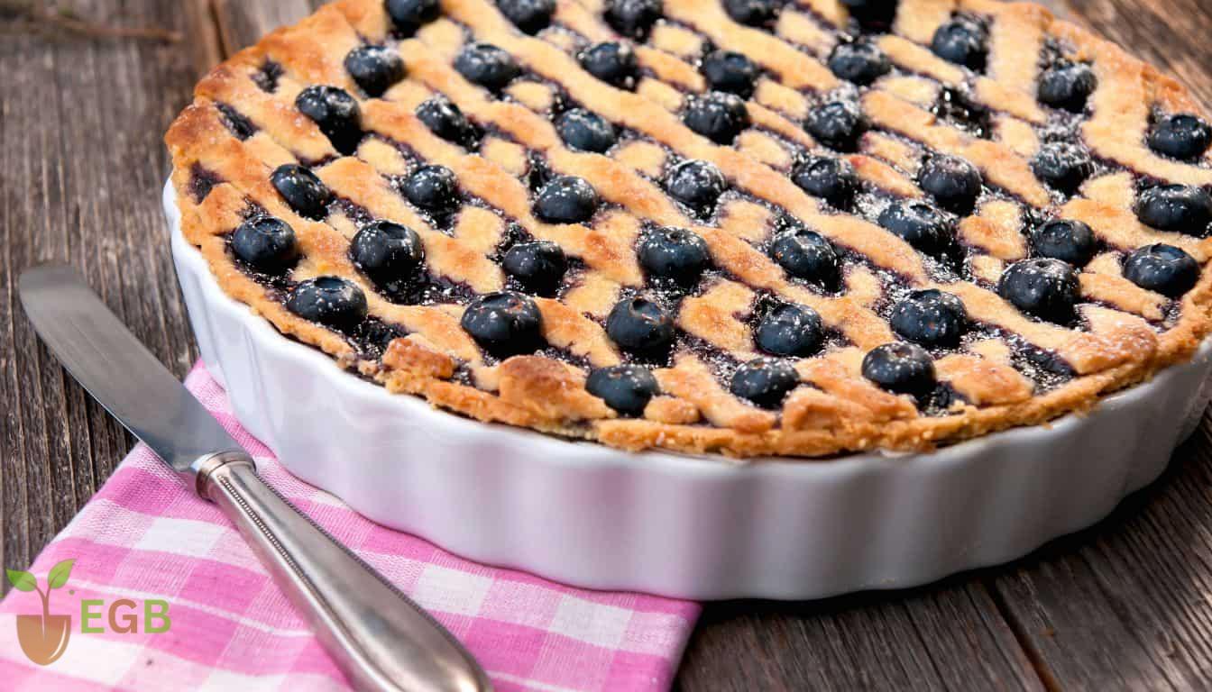 Blueberry Pie - Yummy
