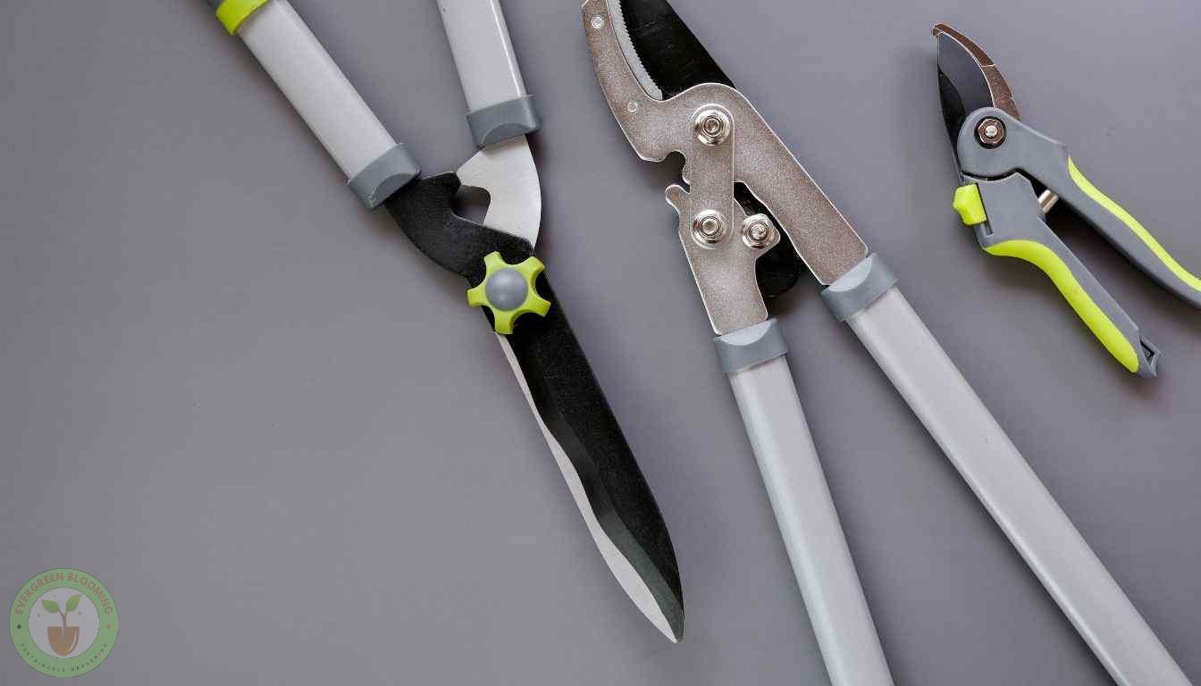 Pear Tree Pruning Tools