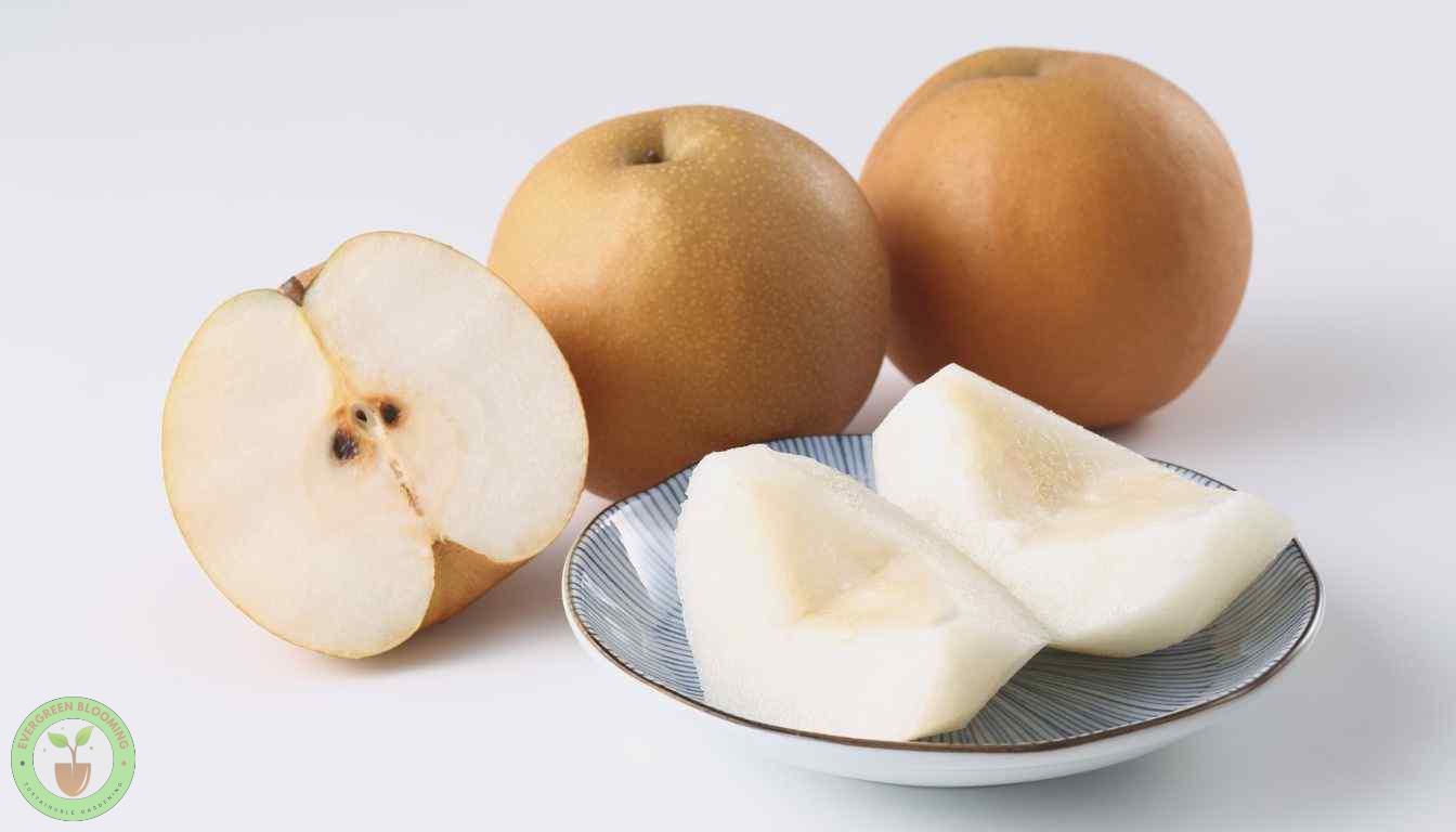 Sliced Fresh Asian Pears